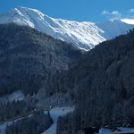 Laerchenheim